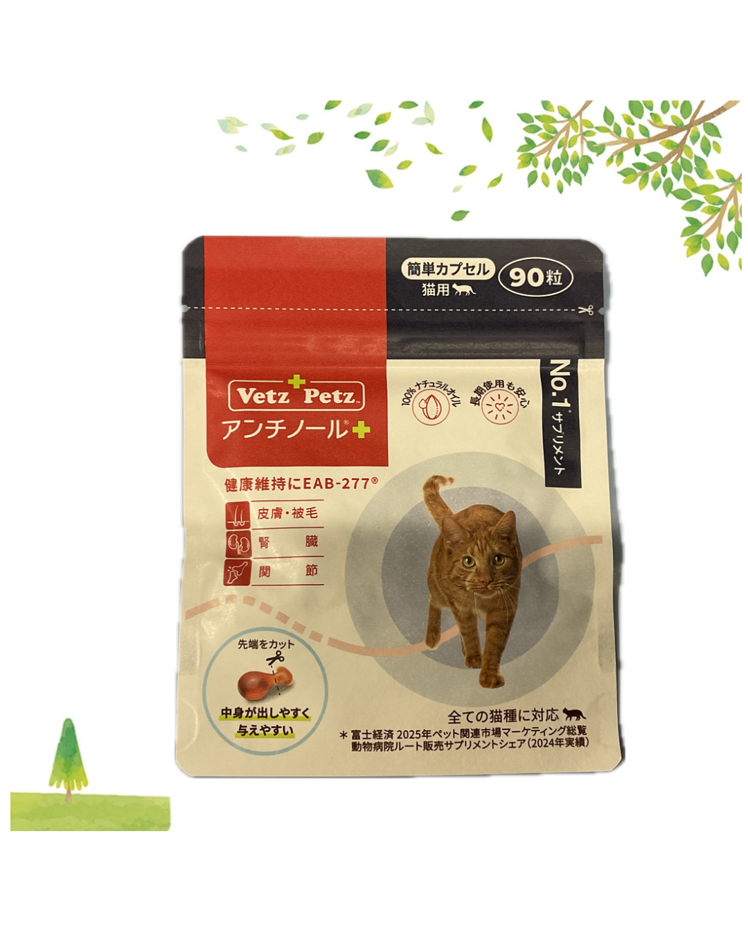アンチノール簡単カプセル　90粒
